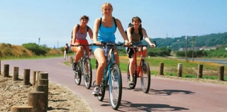  Servicio de alquiler de bicicletas 